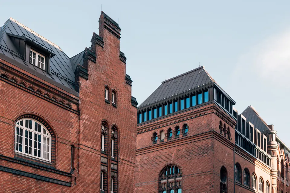 Hopkins — mold removal